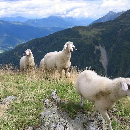 Pension Wilhelmer Sankt Lorenzen im Lesachtal 외부 사진