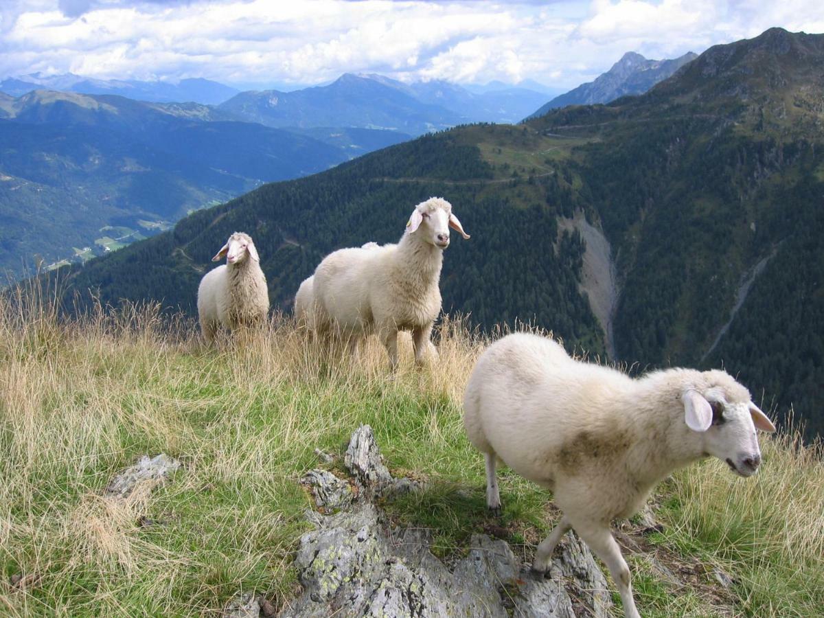 Pension Wilhelmer Sankt Lorenzen im Lesachtal 외부 사진