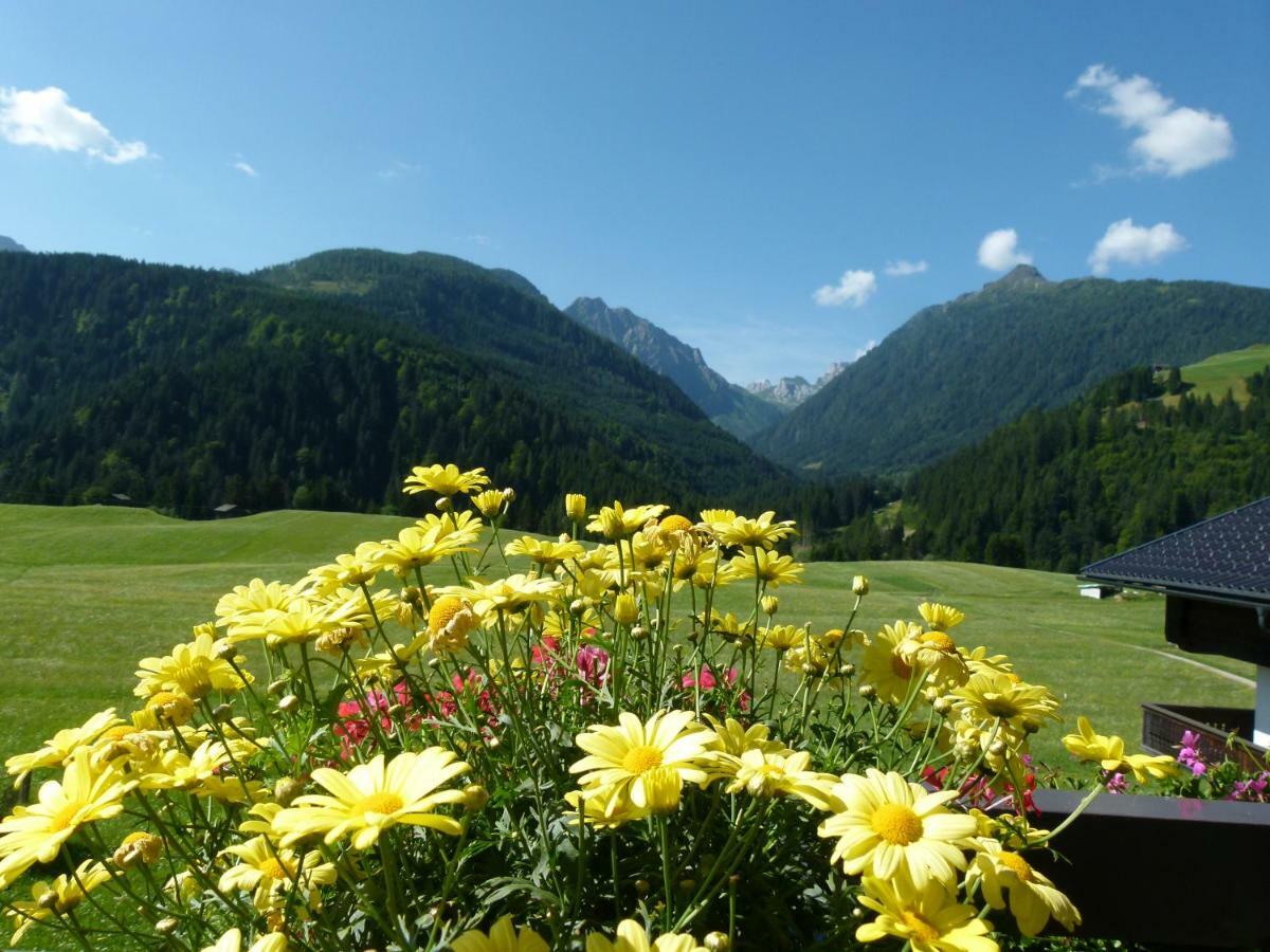 Pension Wilhelmer Sankt Lorenzen im Lesachtal 외부 사진