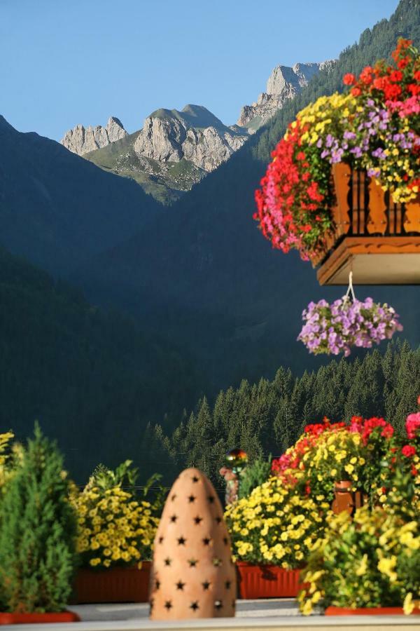 Pension Wilhelmer Sankt Lorenzen im Lesachtal 외부 사진
